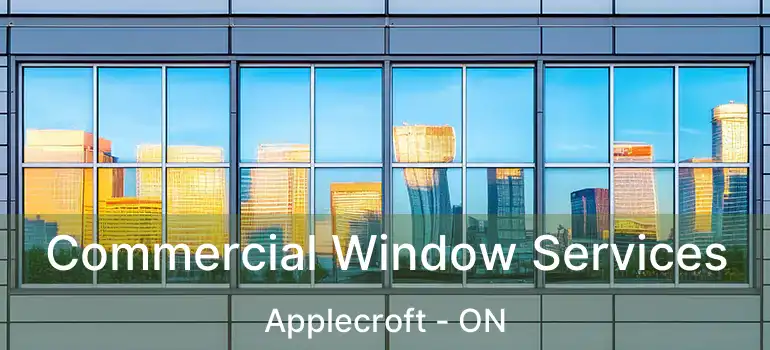  Commercial Window Services Applecroft - ON