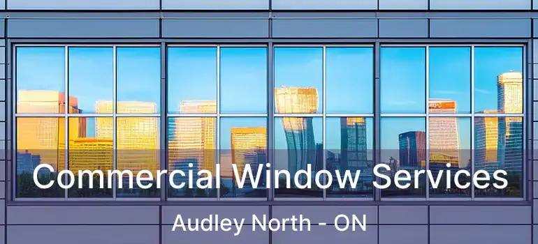  Commercial Window Services Audley North - ON