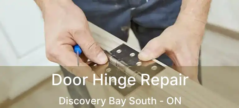  Door Hinge Repair Discovery Bay South - ON