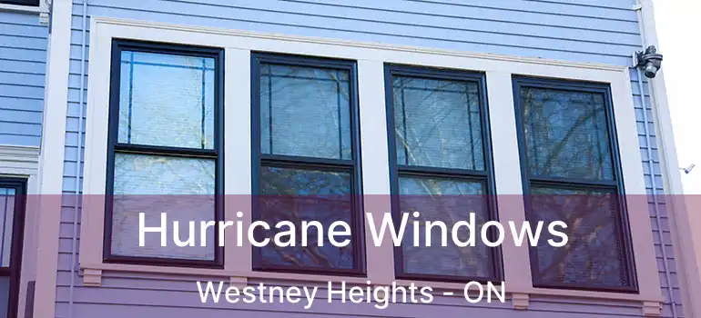  Hurricane Windows Westney Heights - ON