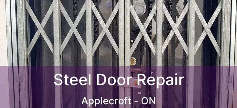  Steel Door Repair Applecroft - ON