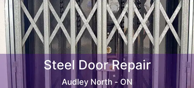  Steel Door Repair Audley North - ON
