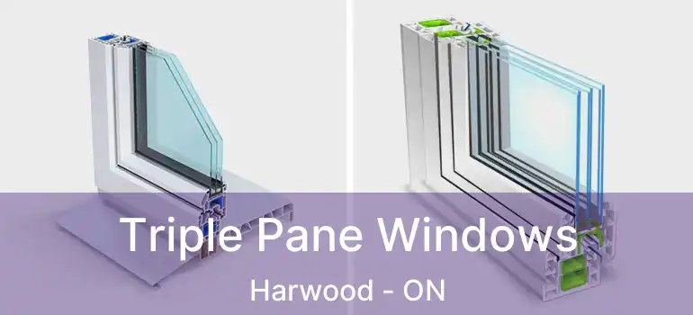  Triple Pane Windows Harwood - ON