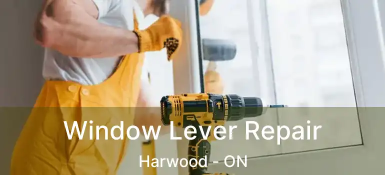  Window Lever Repair Harwood - ON