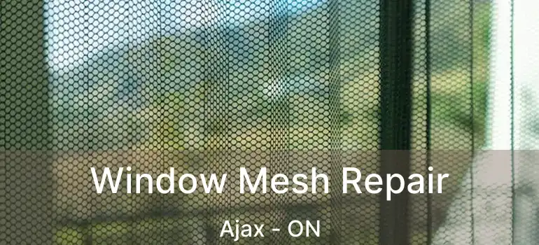  Window Mesh Repair Ajax - ON