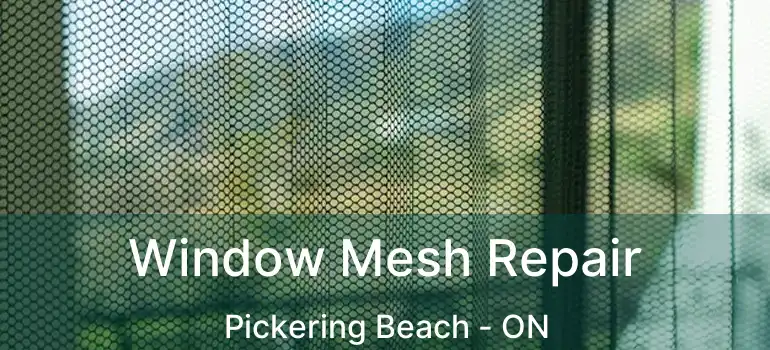  Window Mesh Repair Pickering Beach - ON