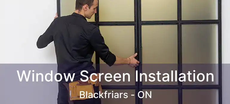  Window Screen Installation Blackfriars - ON